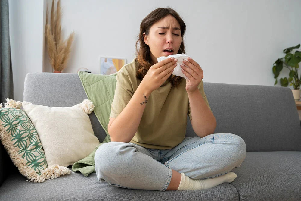 Utilisez une housse de canapé pour vous protéger de la poussière et des allergies