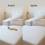 Avant et après : tache sur un canapé nettoyée au LuxeSteam Pro